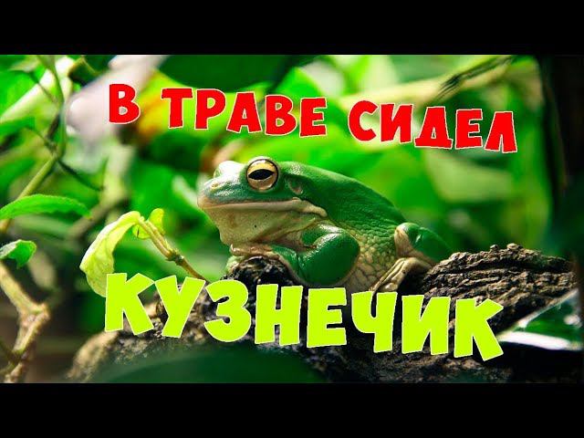 В траве сидел кузнечик на новый лад