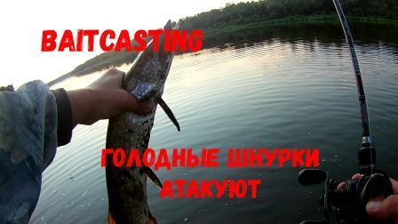 БЕЙТКАСТИНГ. ГОЛОДНЫЕ ШНУРКИ АТАКУЮТ .