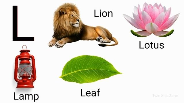 Letter L Words   Words that start with letter l with pictures  twin kids zone