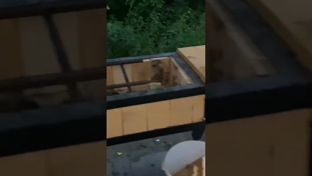 Беседка своими руками в стиле лофт недорого