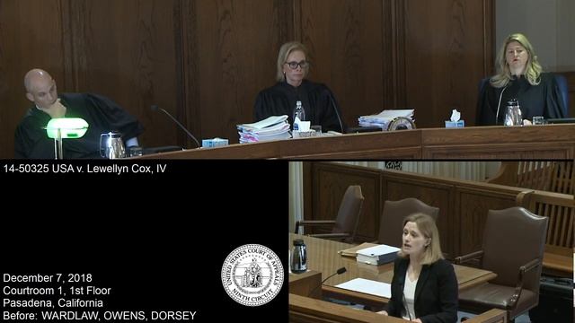 14-50325 USA v. Lewellyn Cox, IV