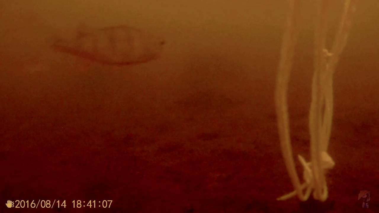 SJCAM M20 first dive