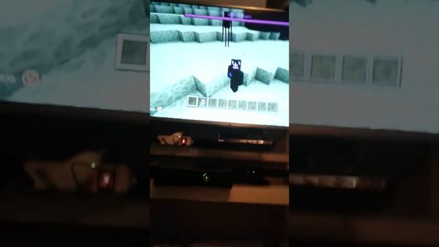Как  приручить  эндер дракона