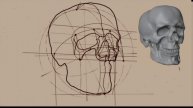рисование головы человека. конструктивный анализ