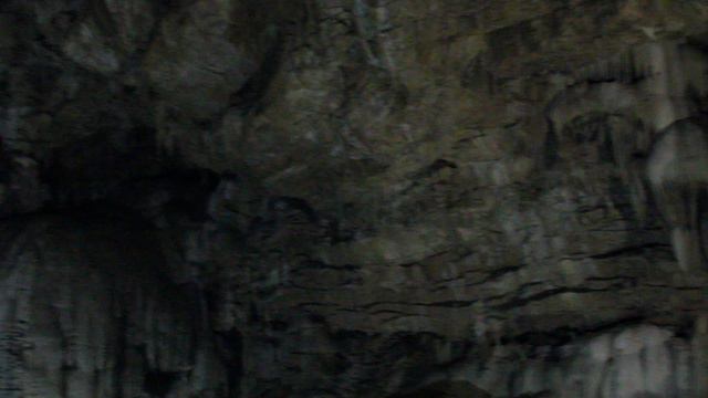 Абхазия! Зал Апсны в Новоафонской пещере.