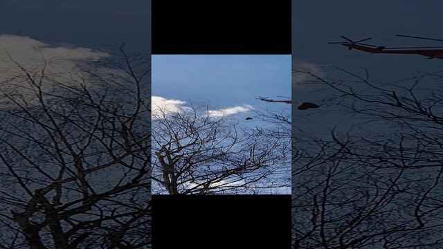 Пожарный вертолёт