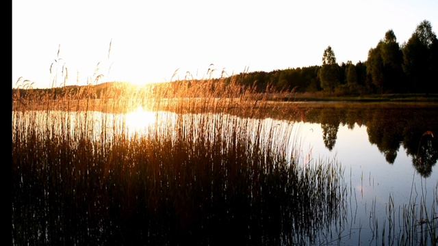 🌄🙋Утро