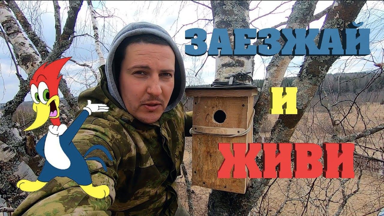 15. Вопросы электрические. Жизнь на своей земле