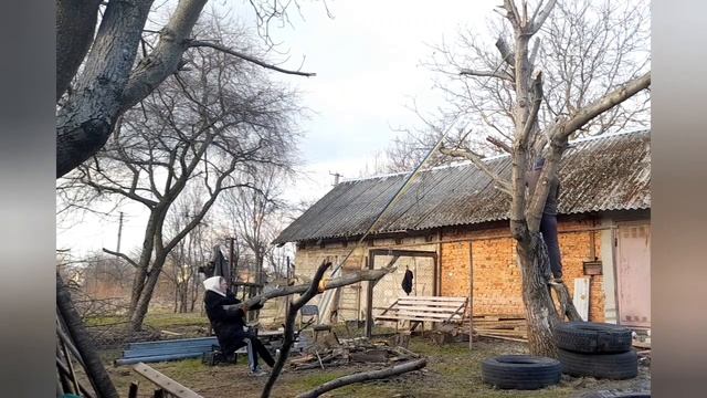 Як Зрізати Дерево - How to cut a tree near the house with a chainsaw