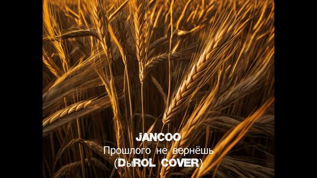 JanCoo - "Прошлого не вернуть" (DыRoL Cover) 2024