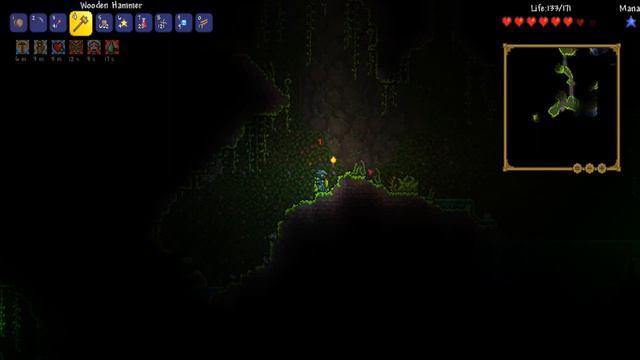 Terraria 1.3 Yo-Yo Expert Challenge thorium and tremor #2 Новое yo-yo!