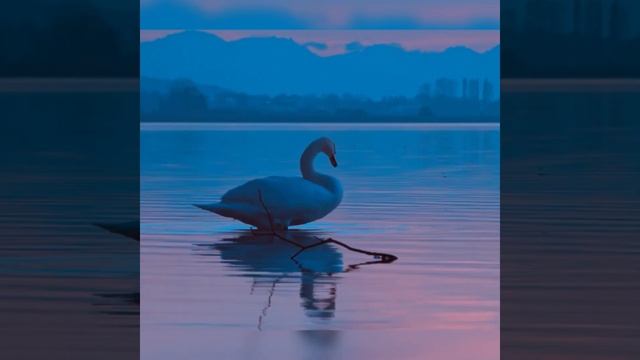 beautiful music спокойная расслабляющая музыка 
relaxing music