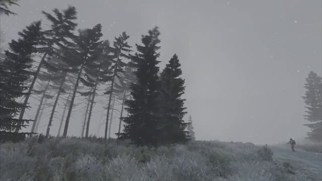 Деревья качаются под музыку в DayZ 1 час