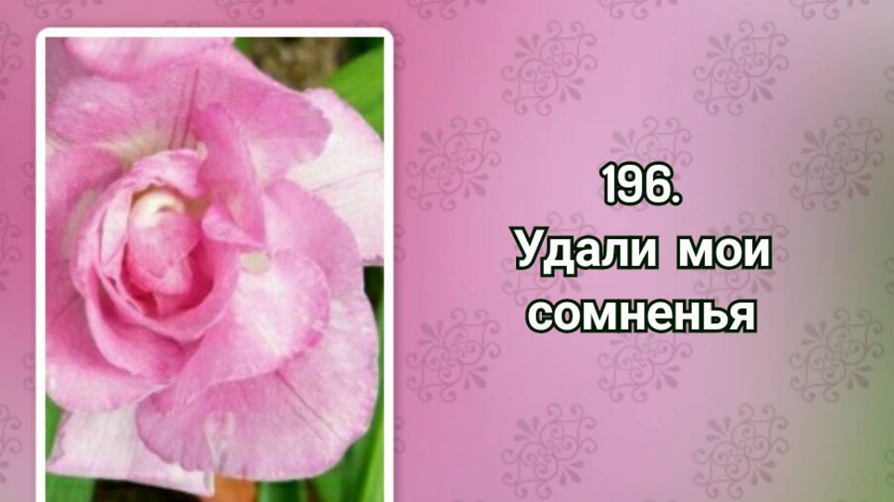 Гимны надежды 196 Удали мои сомненья (-)