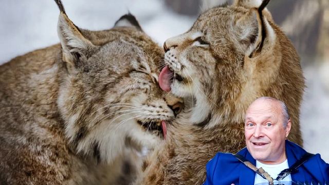 Снова премьера.Может это шлягер?
Влюбляйтесь...