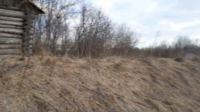 Мои гуси залезли в пруд)