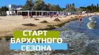 Что происходит в бархатный сезон в Крыму? Нашествие гусениц и опустевшие пляжи