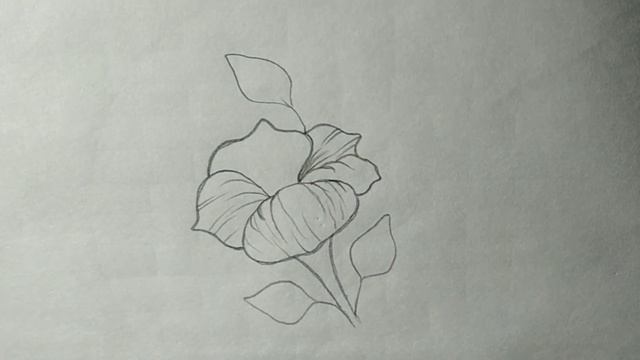 how to draw flowers step by step | petunia flower drawing | drawing for beginners