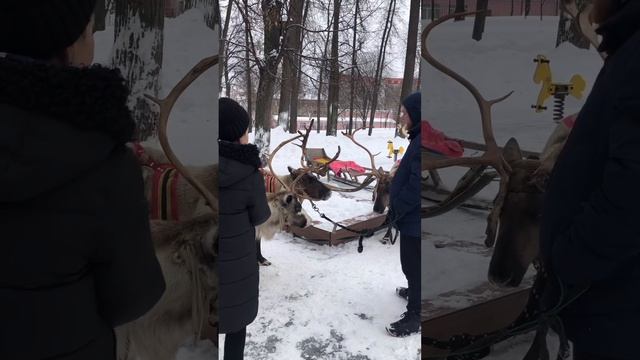 Павловский Посад