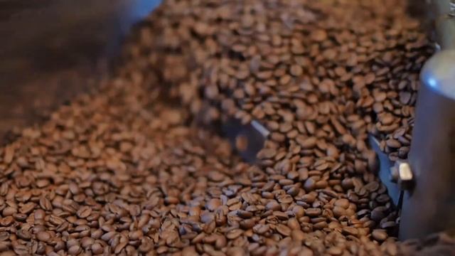 Java Elixir - Indiegogo Campaign