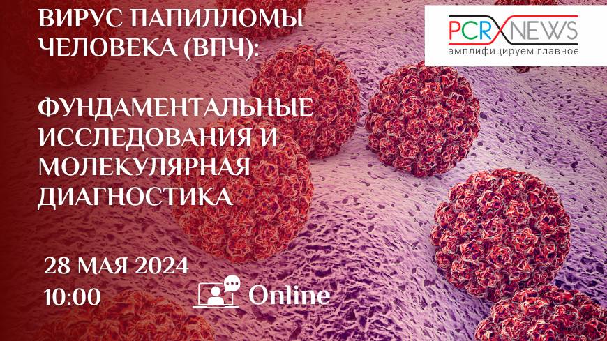 Вирус папилломы человека (ВПЧ): фундаментальные исследования и молекулярная диагностика