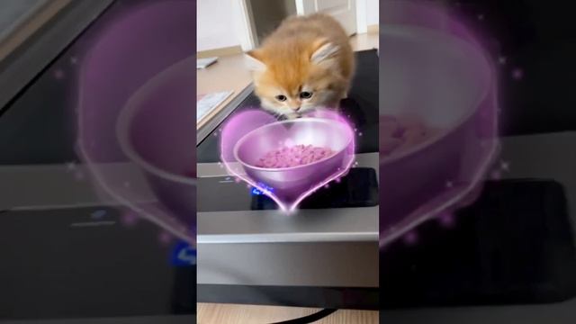 стимулирующее похудение