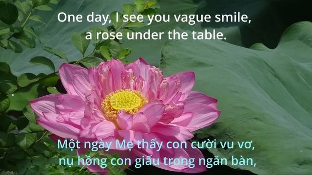 Nhật Ký Của Mẹ Giọng Ca Đầy Cảm Xúc Nghe Là Thương Mẹ Hơn