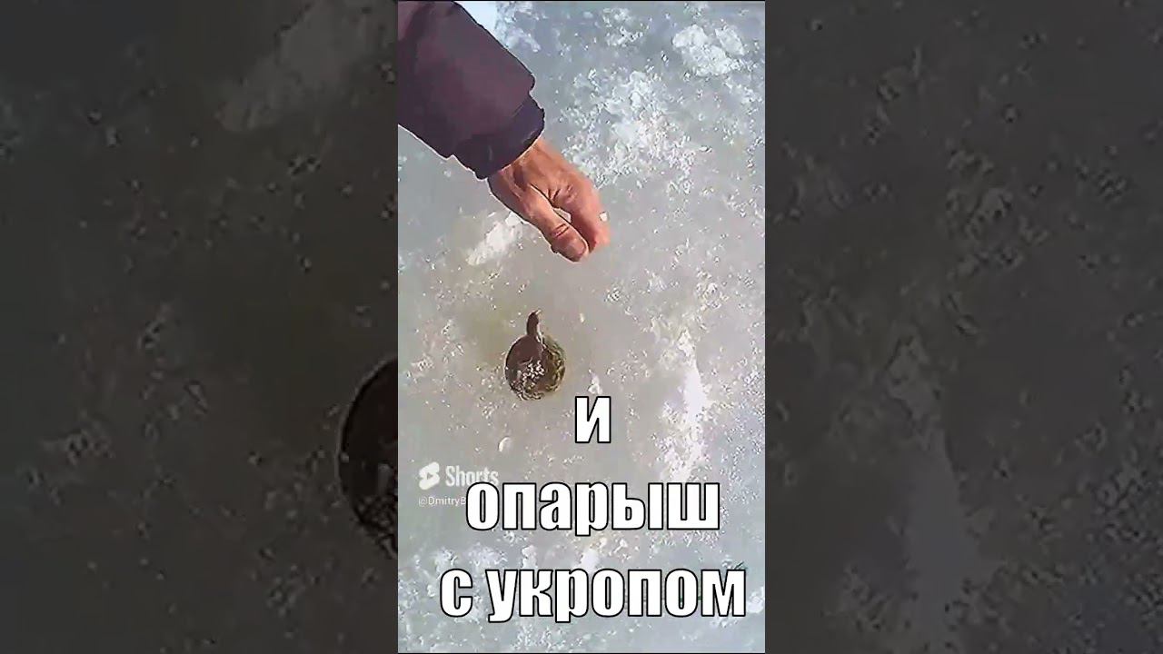 Две Крутые Насадки для Зимней Рыбалки