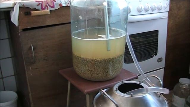 Самогон на пшенице без дрожжей. Порядок действий