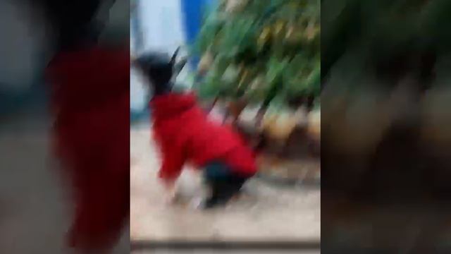Часть моих работ
