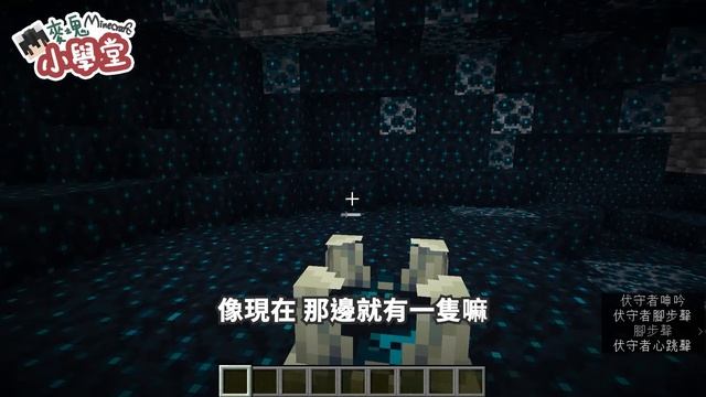 【麥塊小學堂】1.19 正式版詳細總整理 - 荒野更新!可愛到無敵的悅靈、超強大的伏守者襲來,動畫居然還很酷炫!紅樹林和三色青蛙、深淵和伏聆【CC字幕】