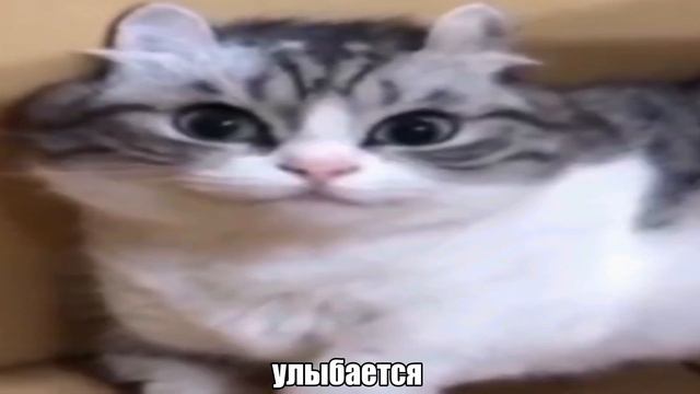Ой, а кто это такой просыпается