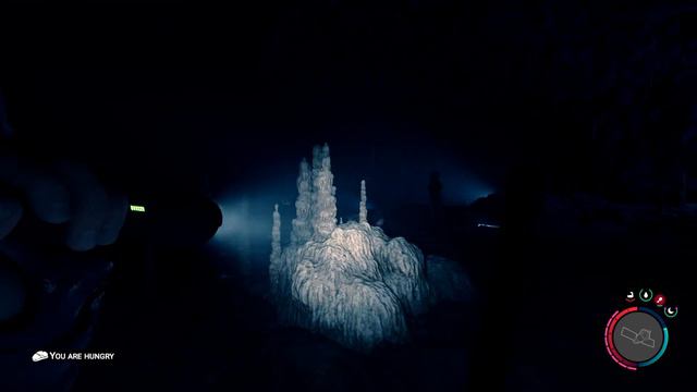 Sons of the Forest Shovel Cave Solo Must Get Item