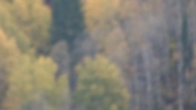 Экопоселение Виссариона   Обитель Рассвета