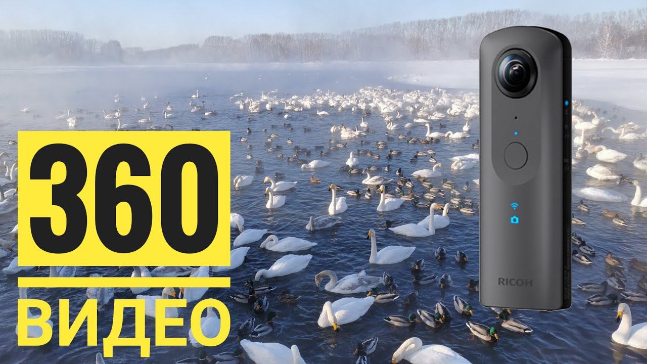 360 Video | Лебединое озеро | Озеро светлое