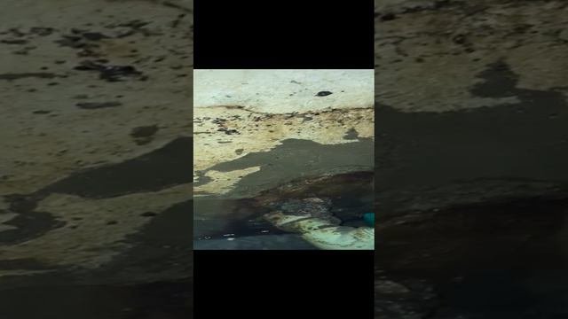 фонтанчик в подвале