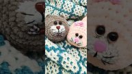 милые котята 🐱❤🐱
