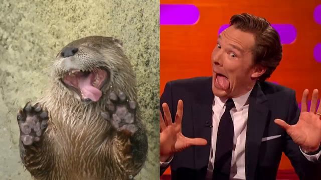 Y2mate.mx-Benedict Cumberbatch’s resemblance to an otter – The Graham Norton Show_ Series 18 Episode