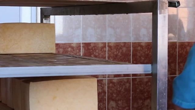 Оборудование для производства сыра
