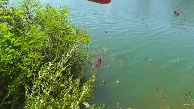 Рыбалка. Ловля  на поплавочную удочку. Поклевки на необычный поплавок на озере в Адыгее. Fishing