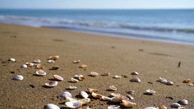 Ho'oponopono 5 Minute Meditation for Forgiveness and Healing
