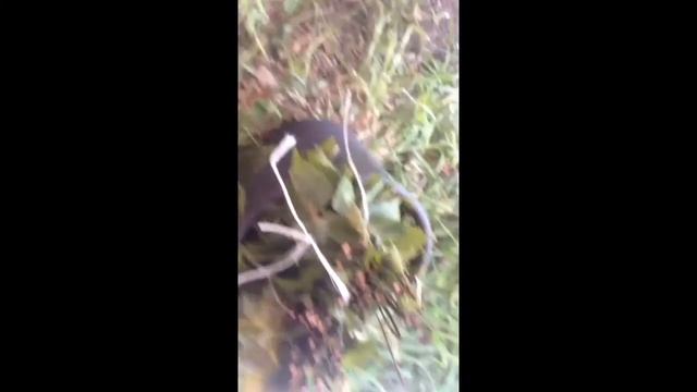 Походная банька на рыбалке, дебют