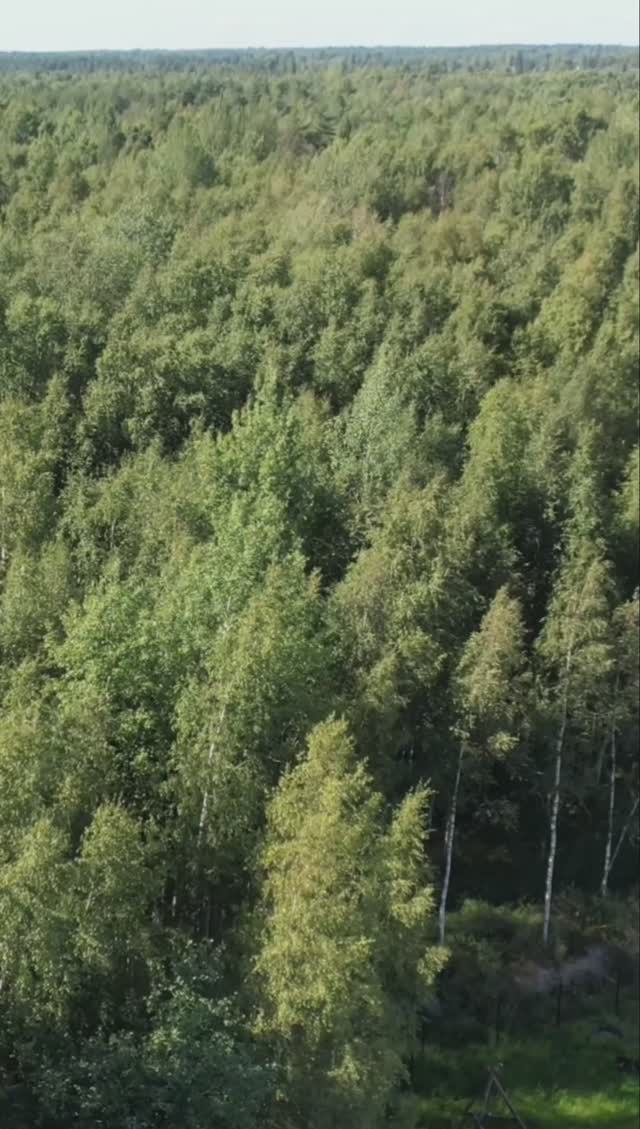 Участок с домом 240м2 в Ленобласти