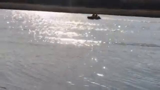 Торпеда 380 тест