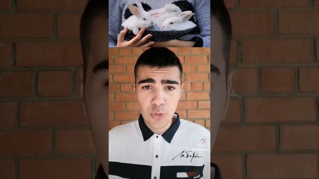Вот как появилась ЛЕГЕНДА что АИСТЫ приносят ДЕТЕЙ?