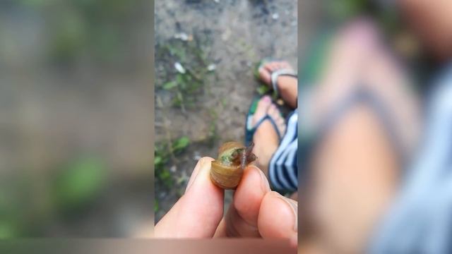 27 ВЕЩЕЙ, КОТОРЫЕ ВЫ УВИДИТЕ ВПЕРВЫЕ В ЖИЗНИ