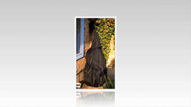 Old Upright BASS