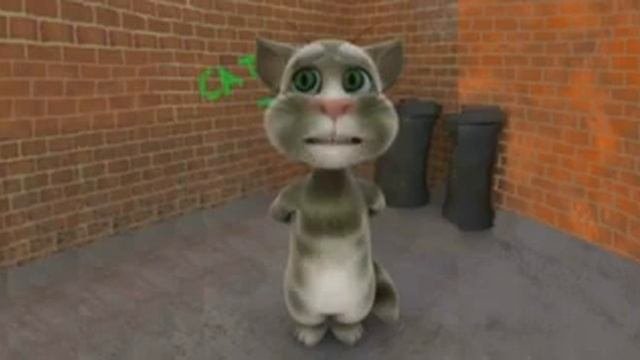 Gato estomp