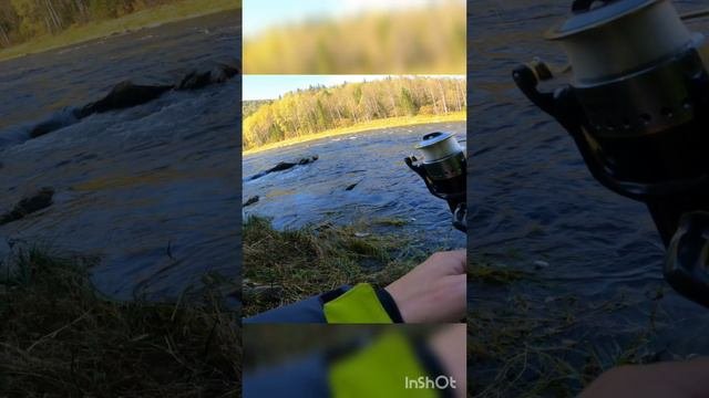 Осенняя рыбалка на горной реке! Сентябрь!