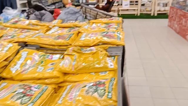 13.01.23.прогулка по магазину О'кей..4  ОРХИДЕИ.